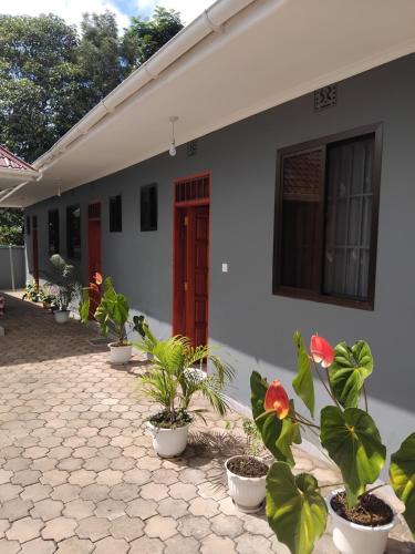 Boma la Ngombe Bed & Breakfast | Meuly Family Lodge