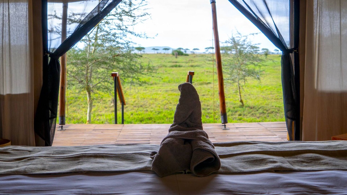 Ikoma Other | Mgunga Serengeti Luxury Camp