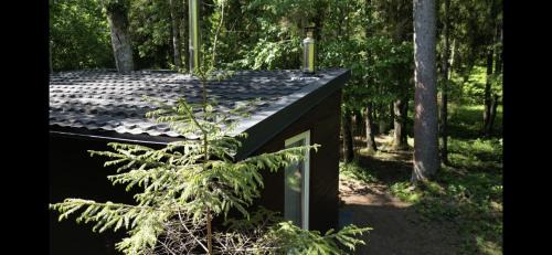 Kurtuvenai House | Miško sielos namelis su pirtele