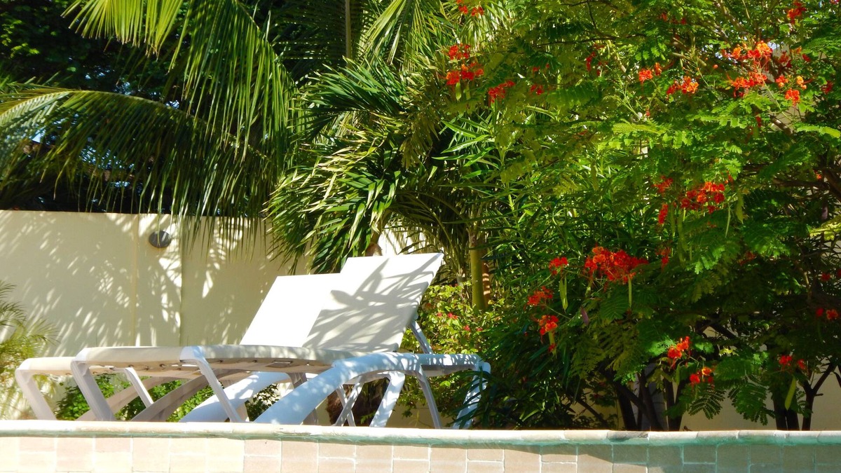 Shiribana Villa | Mi Gusto Villa Charming Villa for 6