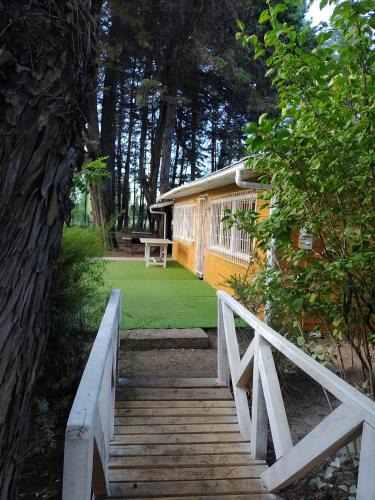 Salto del Laja House | Mi refugio arbolado