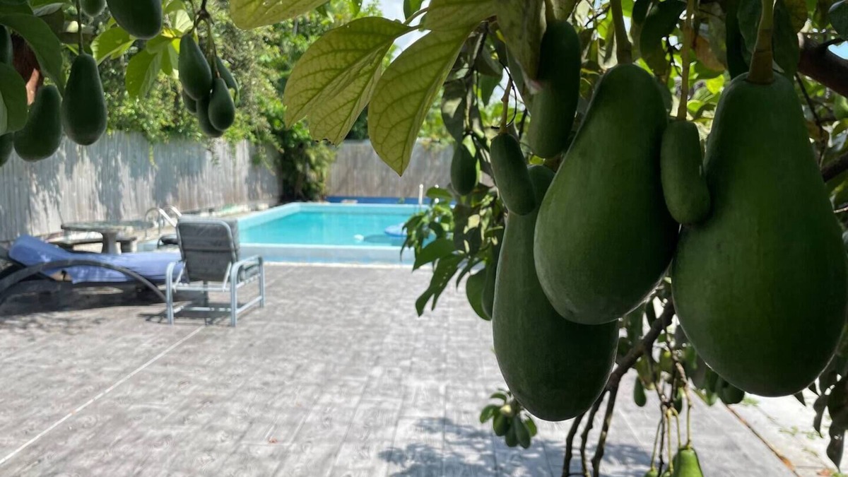 Ives Estates House | Miami Private Home with Large Pool