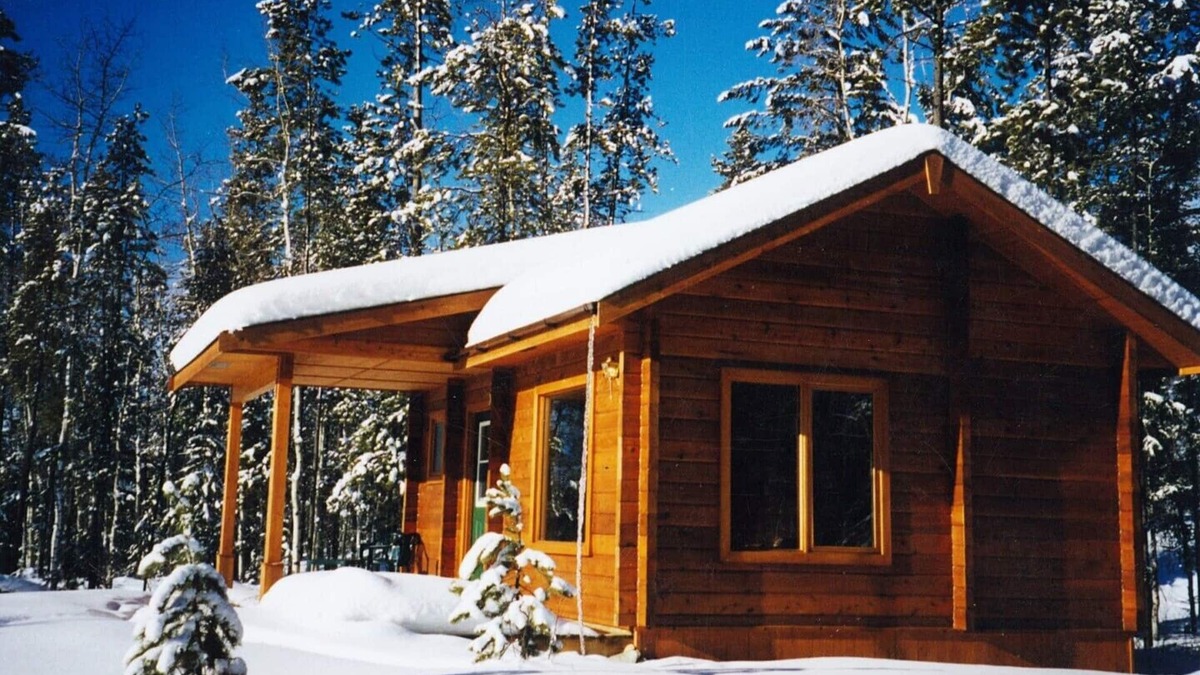 Tete Jaune Cache Hotel | Mica Mountain Lodge & Bear at Mt Robson Park near Jasper Nat. Park AB