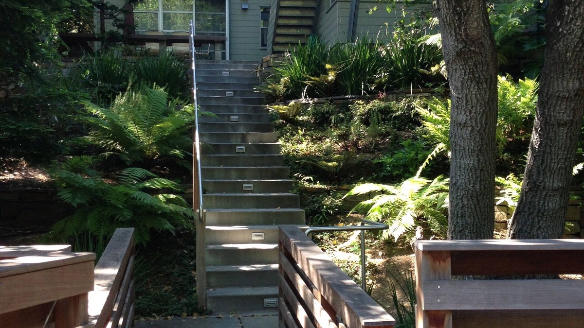 Mill Valley House | Mid-Century Modern Treehouse Retreat