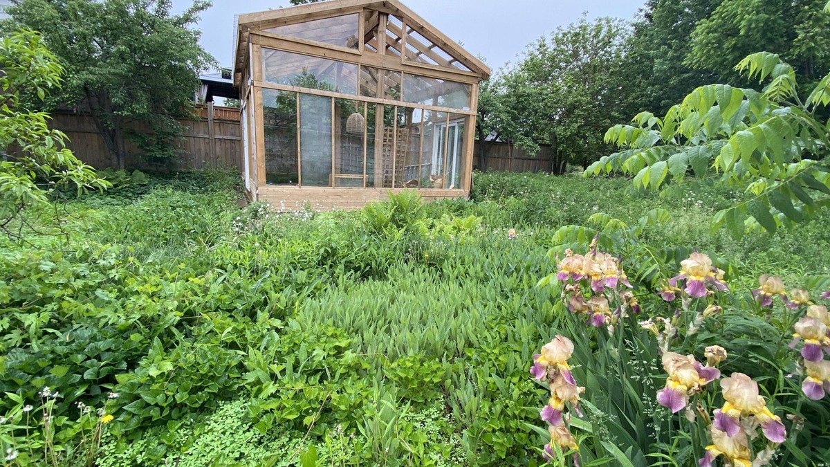 Sarnia House | Mid-Century oasis + greenhouse!
