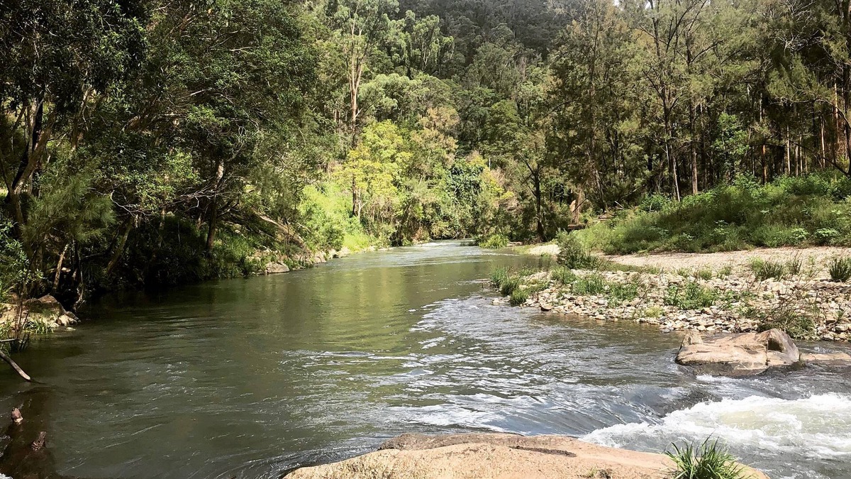 Moparrabah Cottage | Mid North Coast Macleay Valley Mountain Views - Pet Friendly Cottage