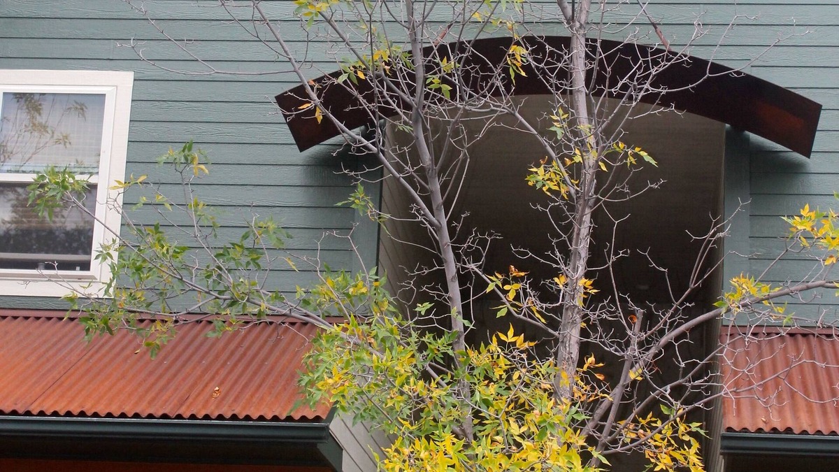 Basalt House | Mid Valley Townhome in Willets with Lake and Mountain Views