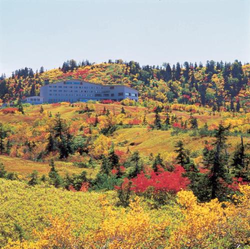 Tateyama-machi Hotel | Midagahara Hotel