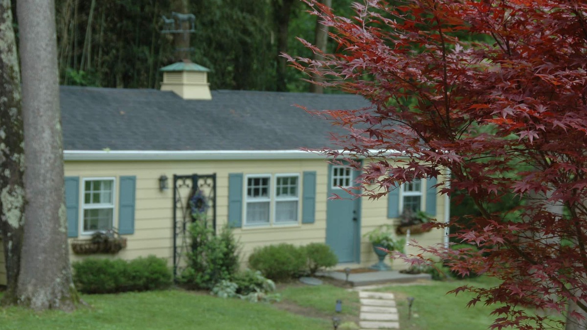 Middleburg Cottage | Middleburg address - Charming Cottage with super location in country setting