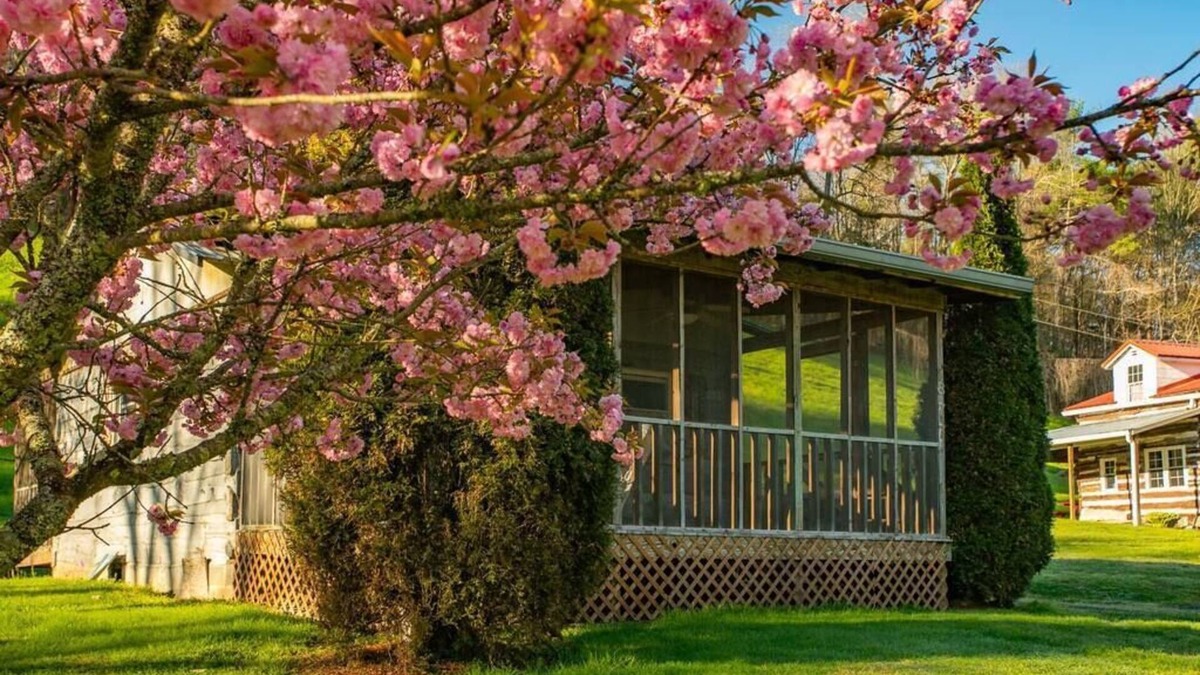 Bristol Cabin | Midge: cozy studio cabin, firepit, perfect for anglers w/wading river access