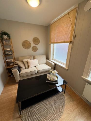 Trondheim City Centre Apartment | Midt i byen