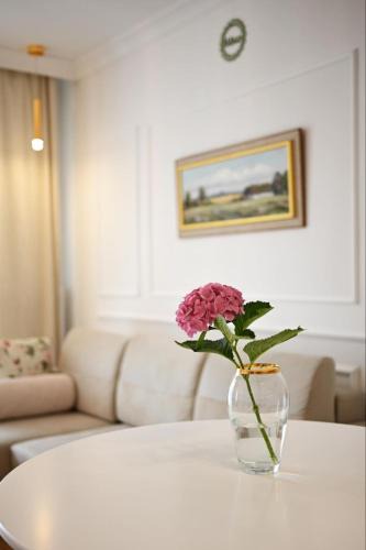 Ciechanow Apartment | Mieszkanie Central Park