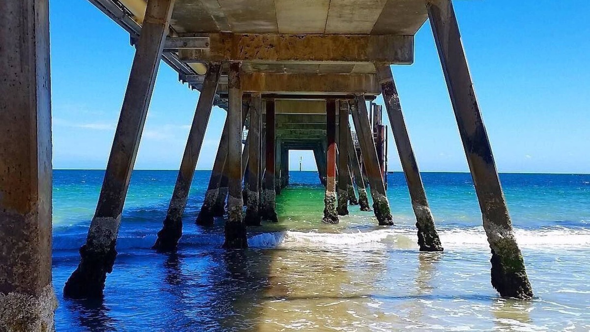 Glenelg Bed & Breakfast | Miffy at Glenelg - close to tram, beach, Glenelg Oval. Sleeps up to 4*