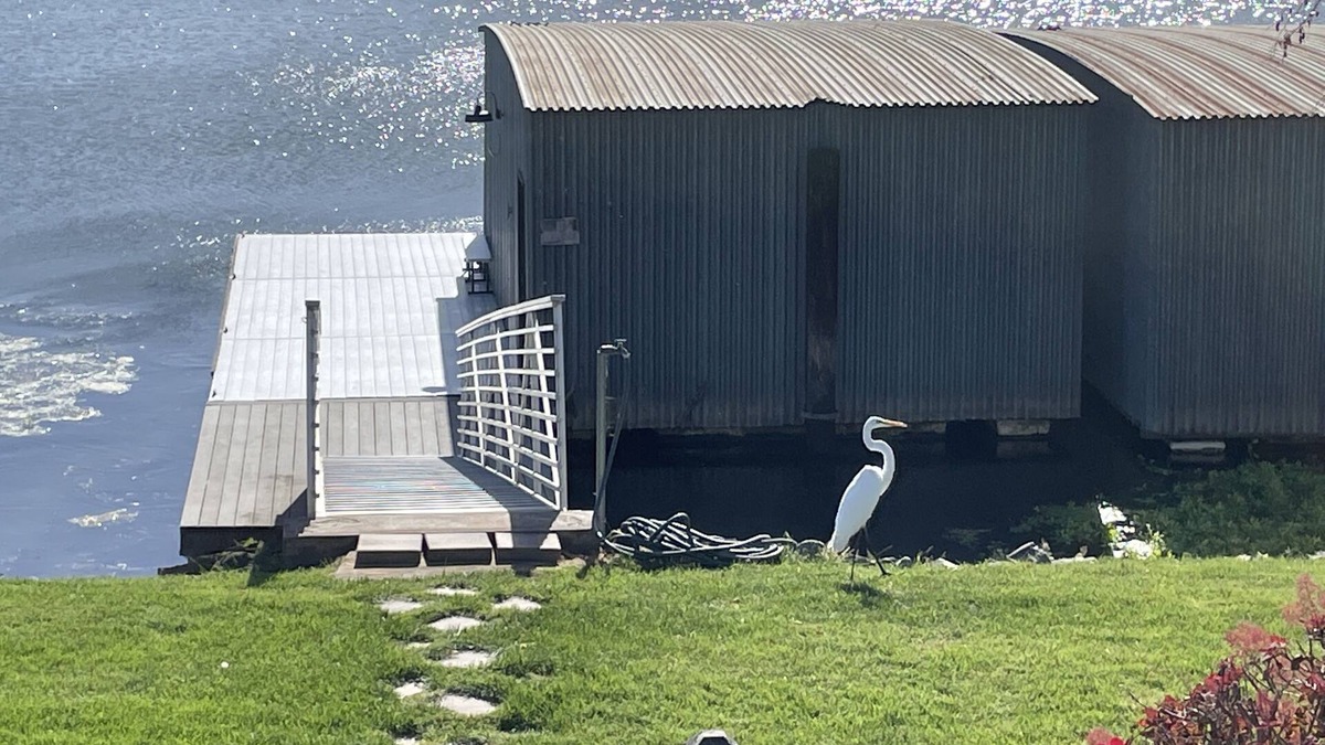 Bethel Island House | Might as well be floating! .on the water's edge!