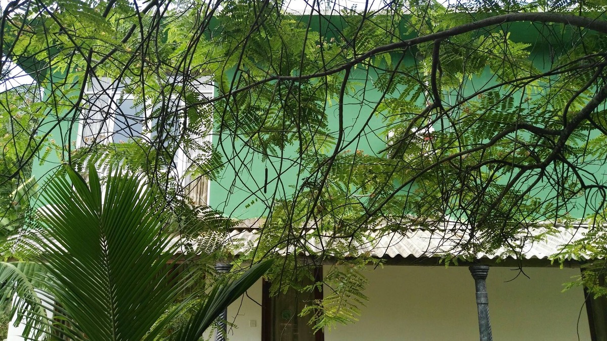 Moragaswewa Hotel | Mihini hotel