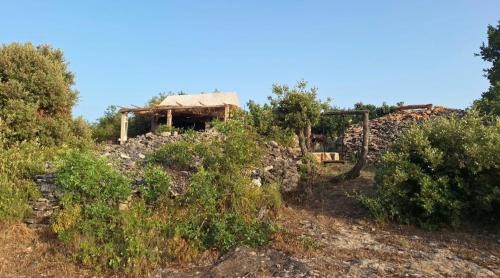 Donji Humac House | Miki's Little House