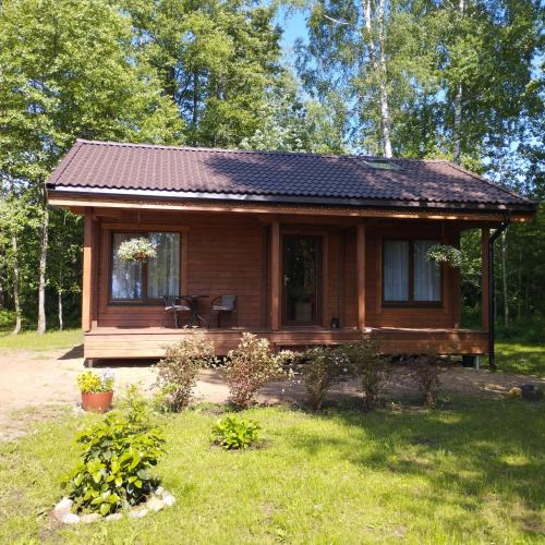 Tuja House | Mikmari