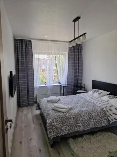 Visaginas Apartment | MilaAna