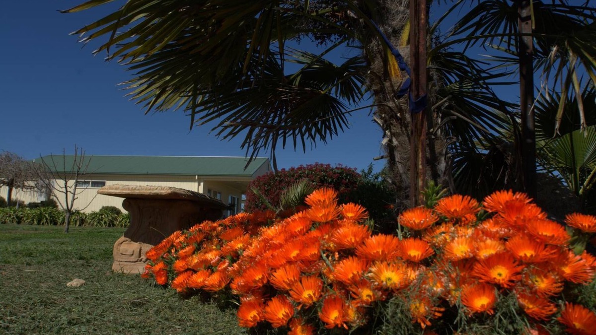 Milawa Bed & Breakfast | Milawa Muscat Retreat B&B