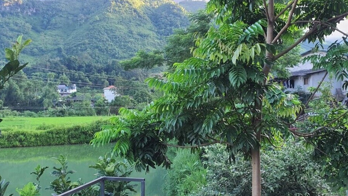 Yen Minh Bed & Breakfast | Milk Homestay