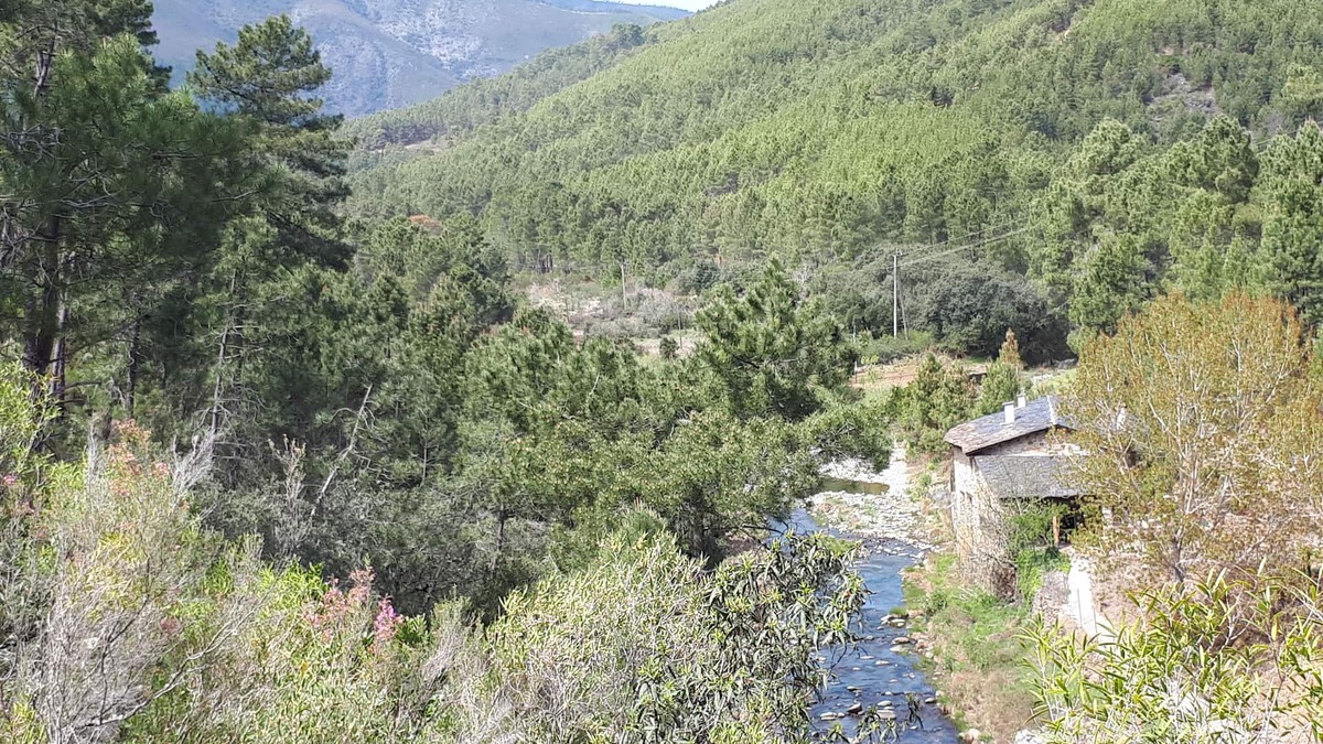 Pinofranqueado Cottage | Mill rehabilitated with Natural Pool and Barbecue in natural environment