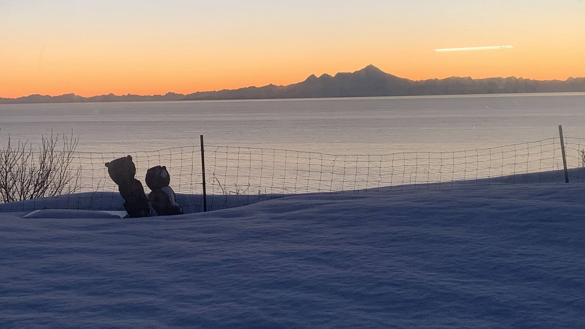 Happy Valley Bed & Breakfast | Million Dollar View