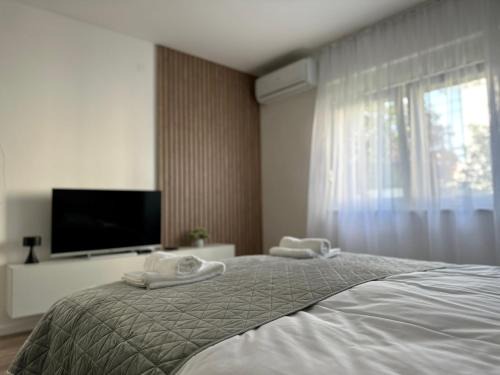 Novi Sad Apartment | Milty Apartments