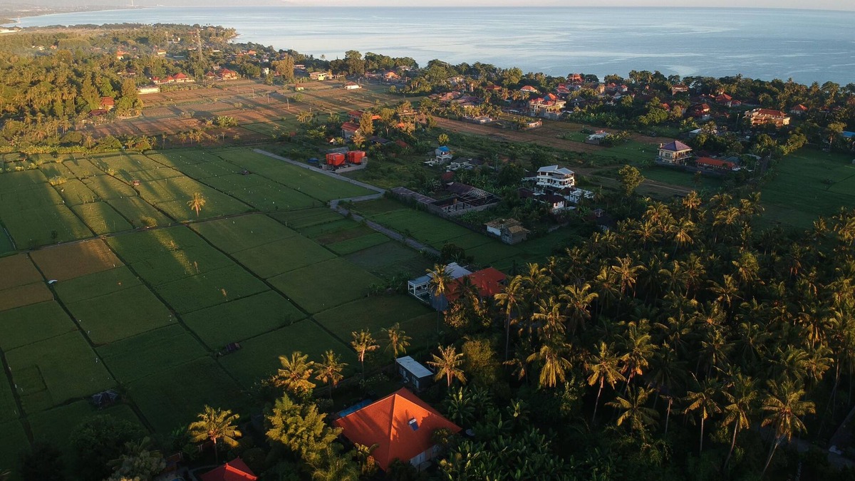 Lovina House | Mimosa, Luxury Private Villa