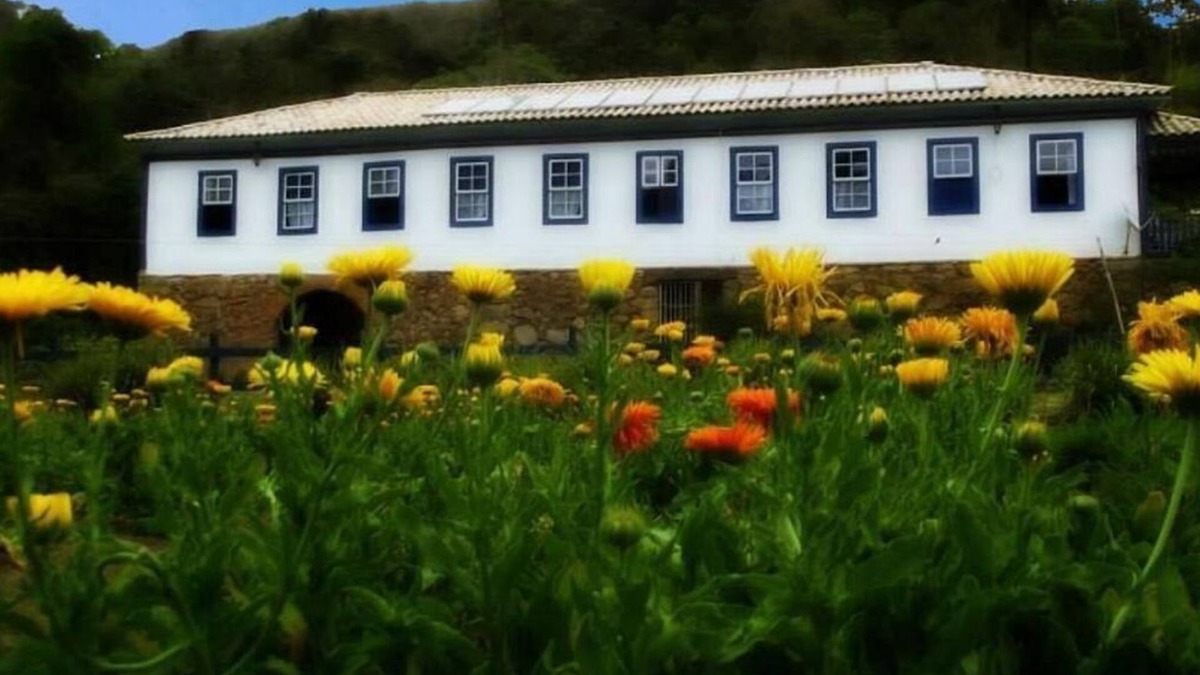 Senhora dos Remedios Other | Minas Gerais farm house with all comfort and peace