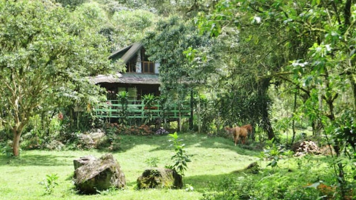 Mindo House | Mindo Eco Chalet with Natural Pool and Waterfalls