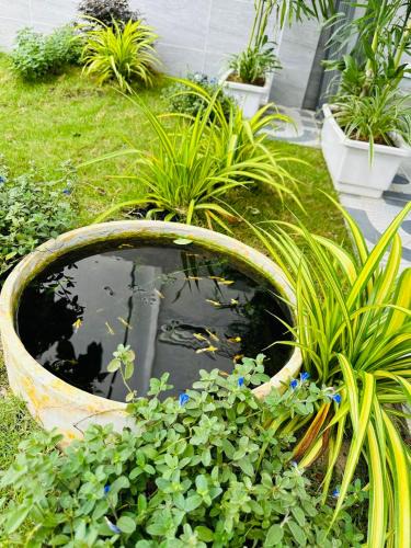 Phan Thiet Villa | Minh Hiếu - Villa 3 rooms