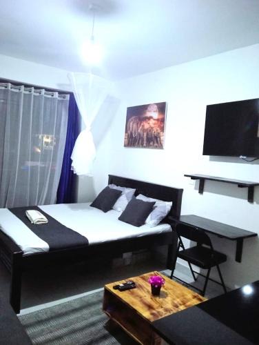 Kisumu Apartment | Mini Studio - Charry Heights, Carwash, Kisumu