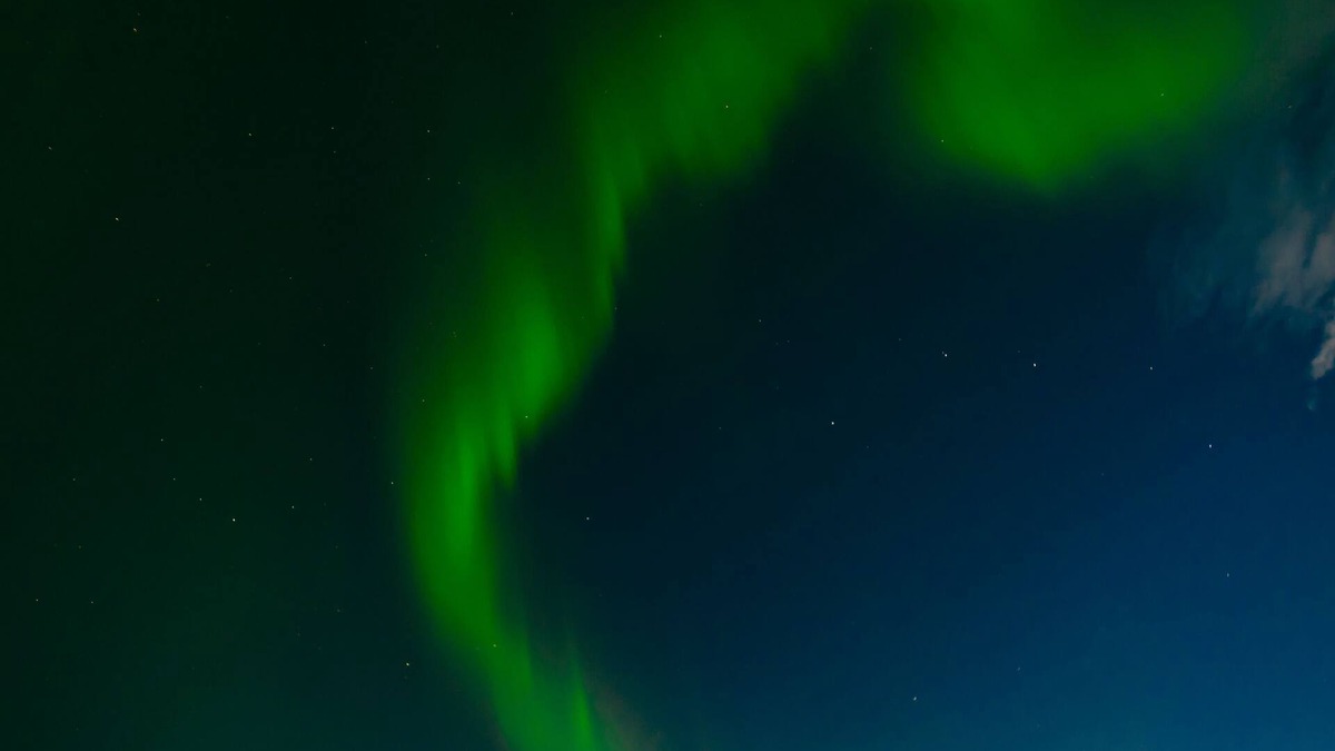 Selfoss Apartment | Minniborgir Cottages & Restaurant