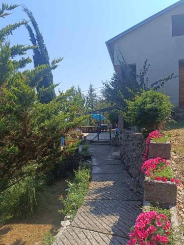 Sucici House | Mir u prirodi