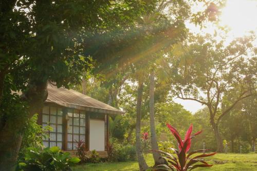 Punta Sur Hotel | Miraflores Boutique Hotel Adults Only