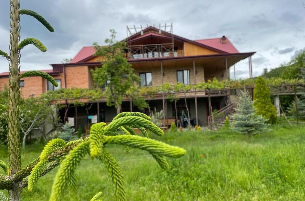 Tsilkani House | Mirioni