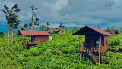 Deniyaya Hotel | Misty Mountain- Sinharaja