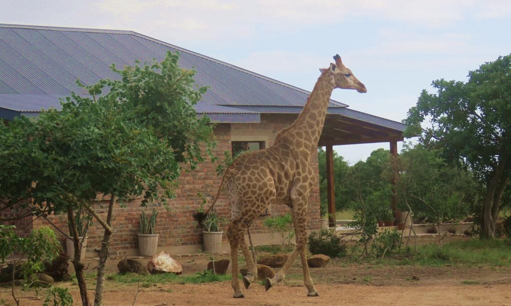 Manzini District Cabin | Mkhiweni 3 Bedroom Villa at Dombeya Wildlife Estate