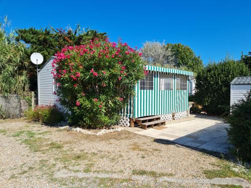 Saint-Denis-d'Oleron Other | Mobil home sur camping 4 étoiles CAP SOLEIL St Denis d'Oléron