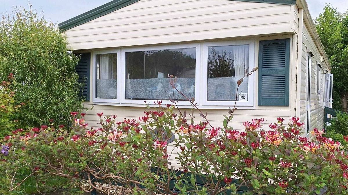Wemeldinge House | Mobilheim für 2-3 Personen Campingplatz Linda in Wemeldinge, Eigener Hundestrand