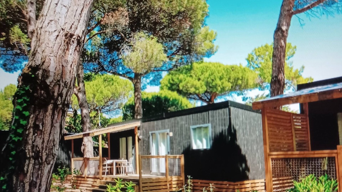 Le Bois-Plage-en-Re House | Mobilhome Ile de Ré, elegant wood 32 m2. Direct beach access. Pets allowed