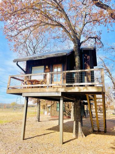 Elm Mott Other | Mockingbird Treehouse 15 MIN to MagnoliaBaylor