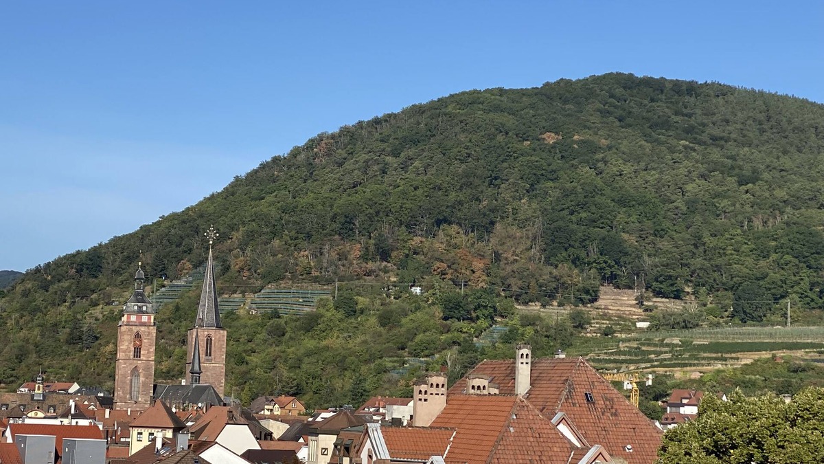 Neustadt an der Weinstrasse Apartment | Modern city apartment