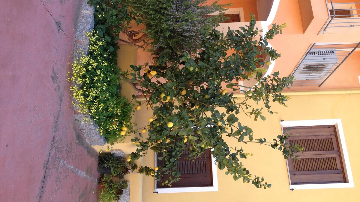 La Muddizza Apartment | Modern 1 bed Apartment Sleep 3 sea View Only 700mt From sea