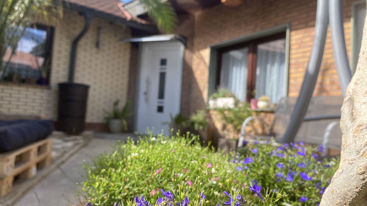 Weissenfels House | Modern 4-star apartment - stylish comfort, relaxation for people and dogs!