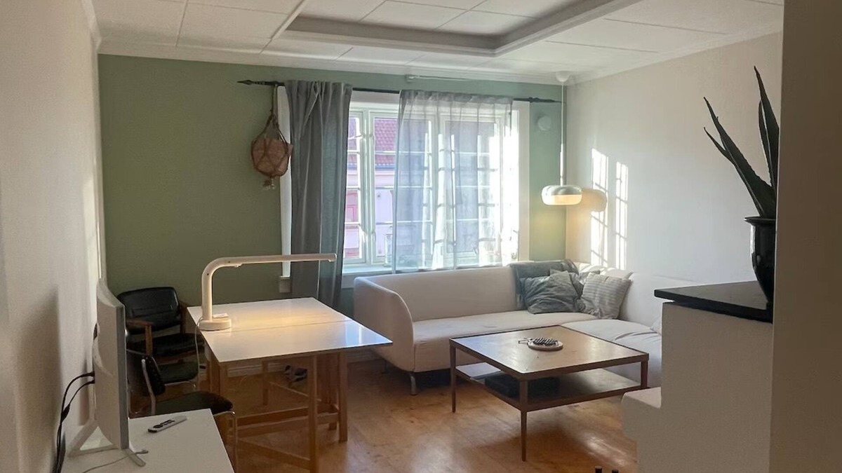 Gamle Oslo Apartment | Modern and cozy apartment close to the city center