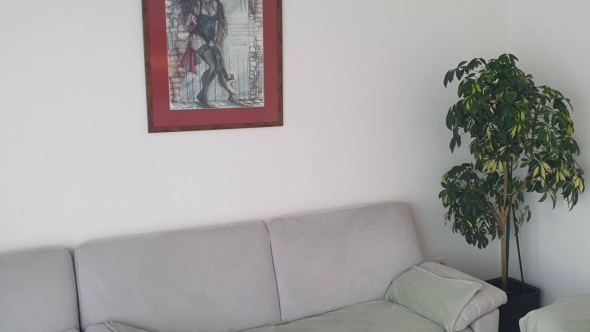 Selimbar Apartment | Modern apartament,to stay in and relax watching Carpathian montains.