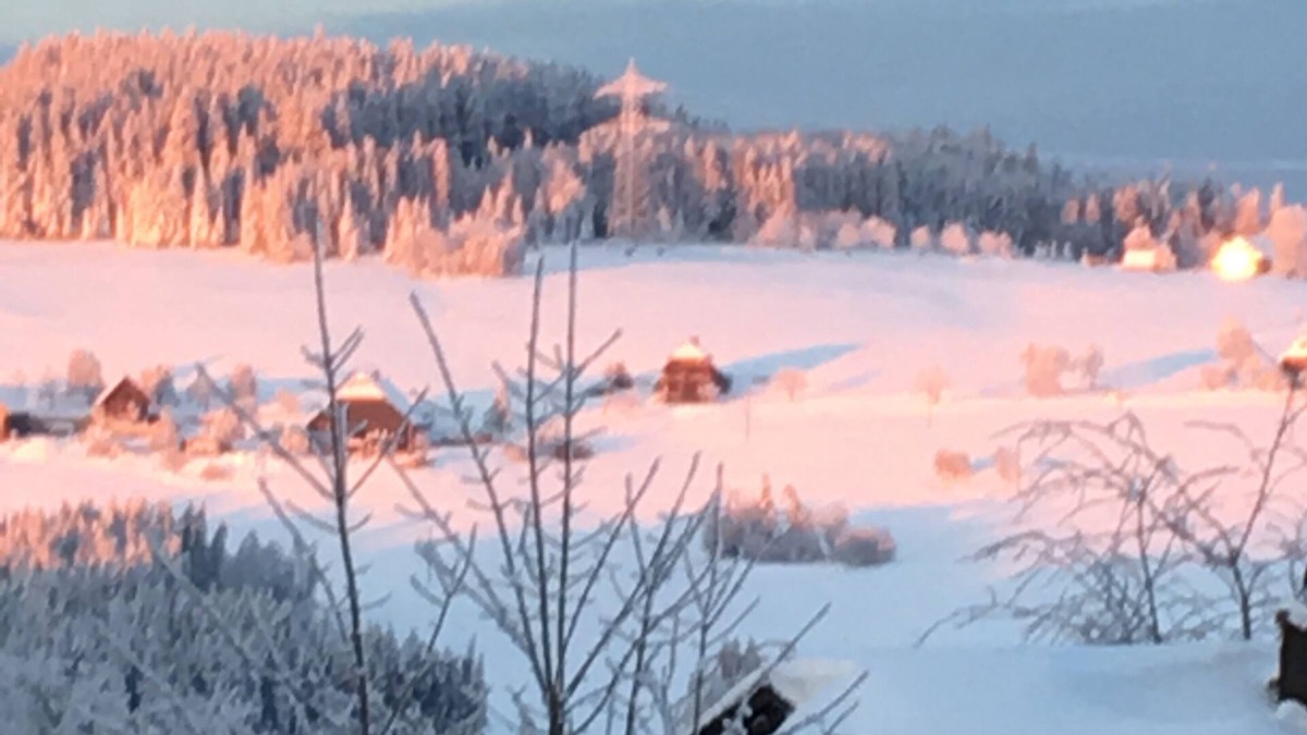 Breitnau Apartment | Modern chalets in the Black Forest incl. Hochschwarzwald Card