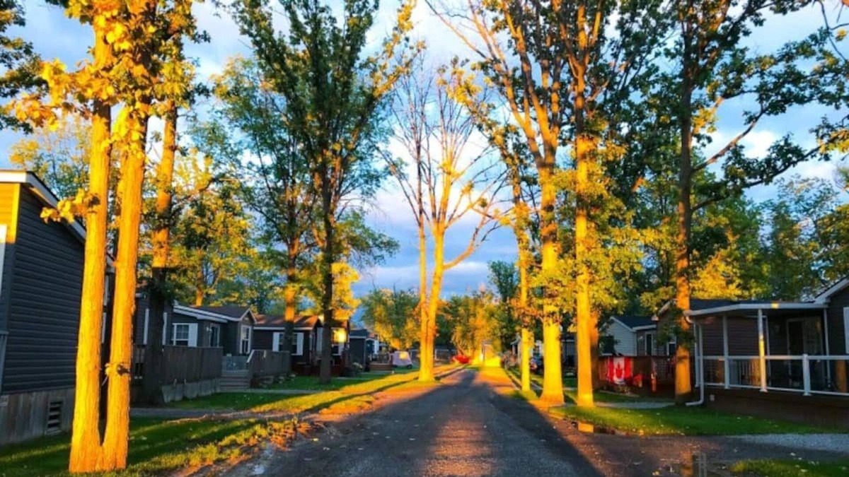Queenston Cabin | Modern Cottage @Niagara-On-The-Lake