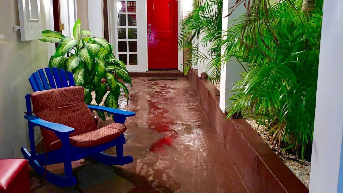 Charlotte Amalie Apartment | Modern Cozy Studio 🎨 Shopping 🛍Historical 10 minute drive to 🏖